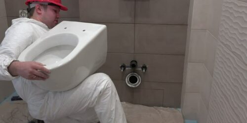Clogged Toilet